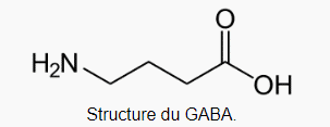 molecule GABA produit naturel anxiété