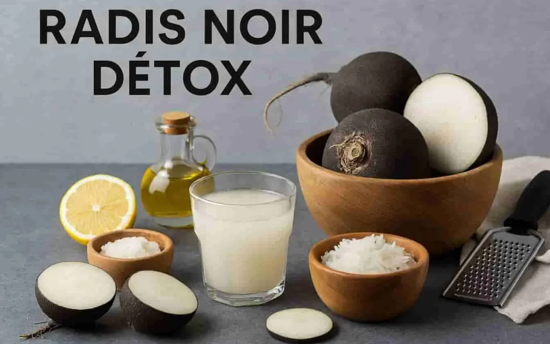 Radis noir détox : le guide complet pour purifier naturellement votre organisme