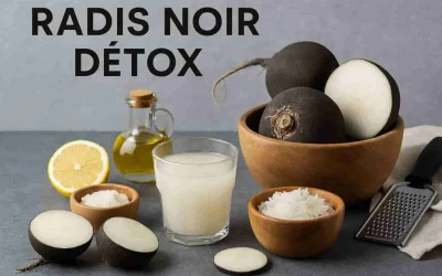Radis noir détox : le guide complet pour purifier naturellement votre organisme