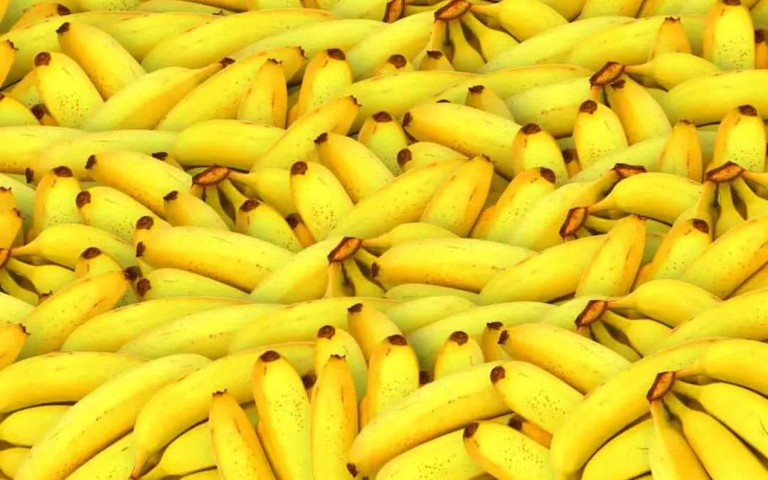 Banane et calculs biliaires : l&rsquo;impact de ce fruit sur votre vésicule biliaire