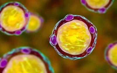 Blastocystis hominis : faut-il s&rsquo;inquiéter de ce parasite intestinal ?