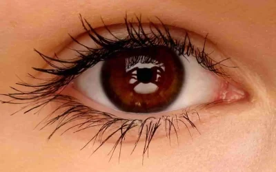 Points noirs devant les yeux : causes, facteurs de risque et quand s’inquiéter (Myodésopsies)