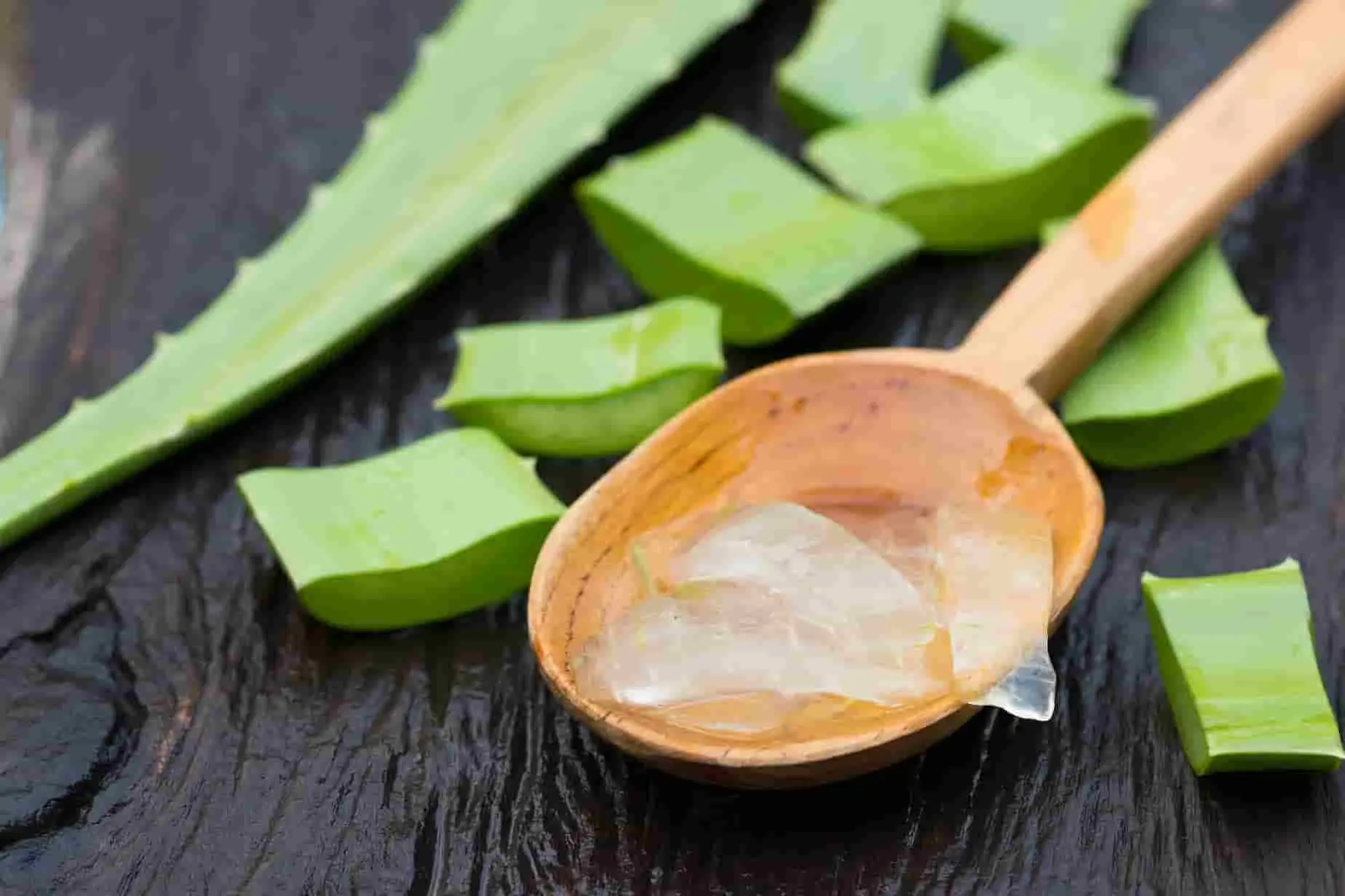 Cuillère en bois remplie de gel translucide posée sur table sombre avec morceaux d’aloe vera autour, image qui évoque les bienfaits naturels et les dangers de la plante
