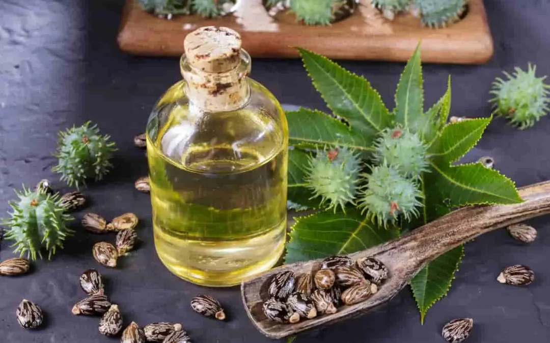 Huile de ricin pour les cheveux : guide complet pour stimuler la pousse et fortifier votre chevelure