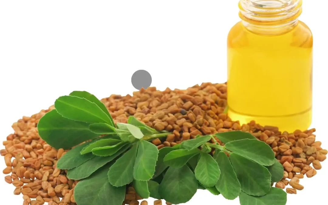 Huile de Fenugrec : bienfaits, utilisations et précautions pour la peau, les cheveux et la santé