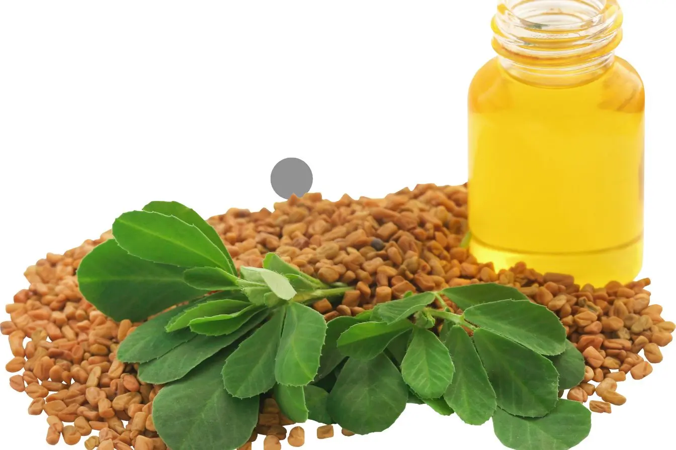 Graines de fenugrec brunes avec feuilles fraîches et flacon d’huile jaune, ambiance naturelle et bien-être