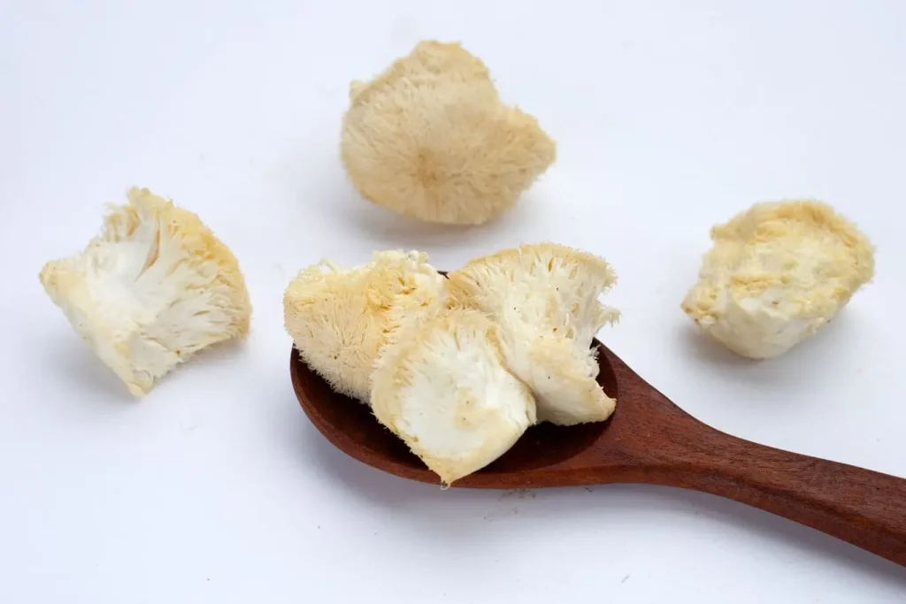 Champignons crinière de lion à texture filamenteuse sur surface claire, image liée à la santé naturelle