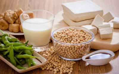 Le lait de soja : tout savoir sur cette boisson végétale