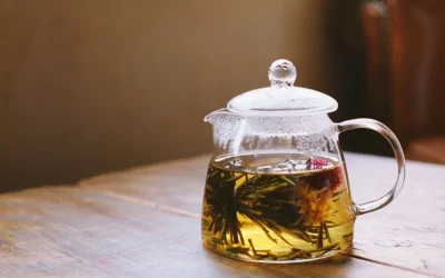 Tisane de fenouil : guide des bienfaits, propriétés médicinales et préparation