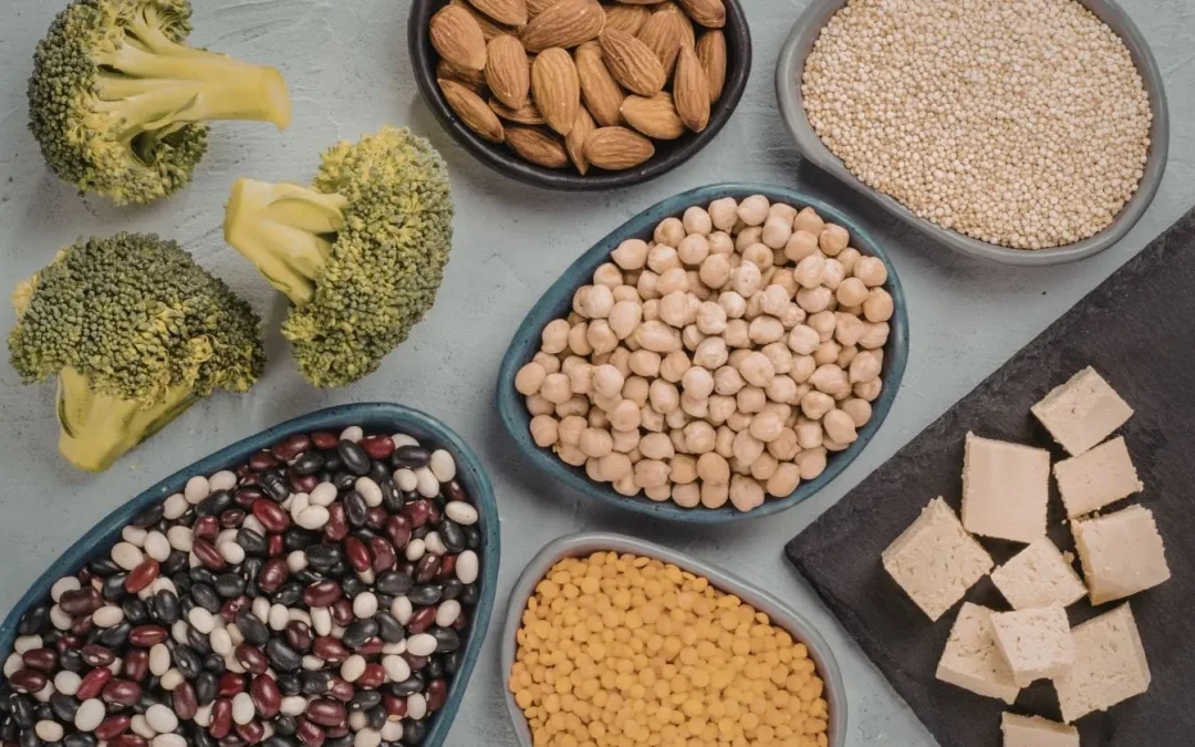 Protéine végétale liste : les meilleures sources pour vos besoins nutritionnels