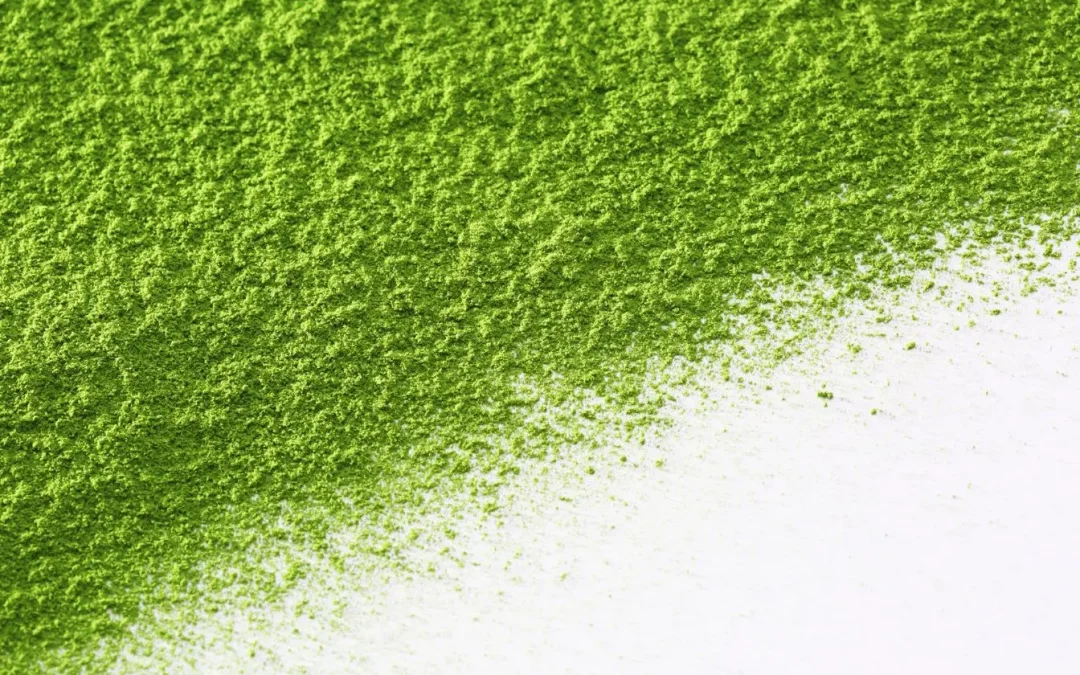 Effets secondaires de la chlorella : ce qu&rsquo;il faut savoir avant de commencer votre cure