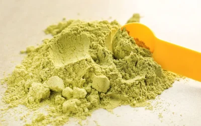 Protéine de chanvre : quels sont ses réels bienfaits pour la santé et la musculation ?