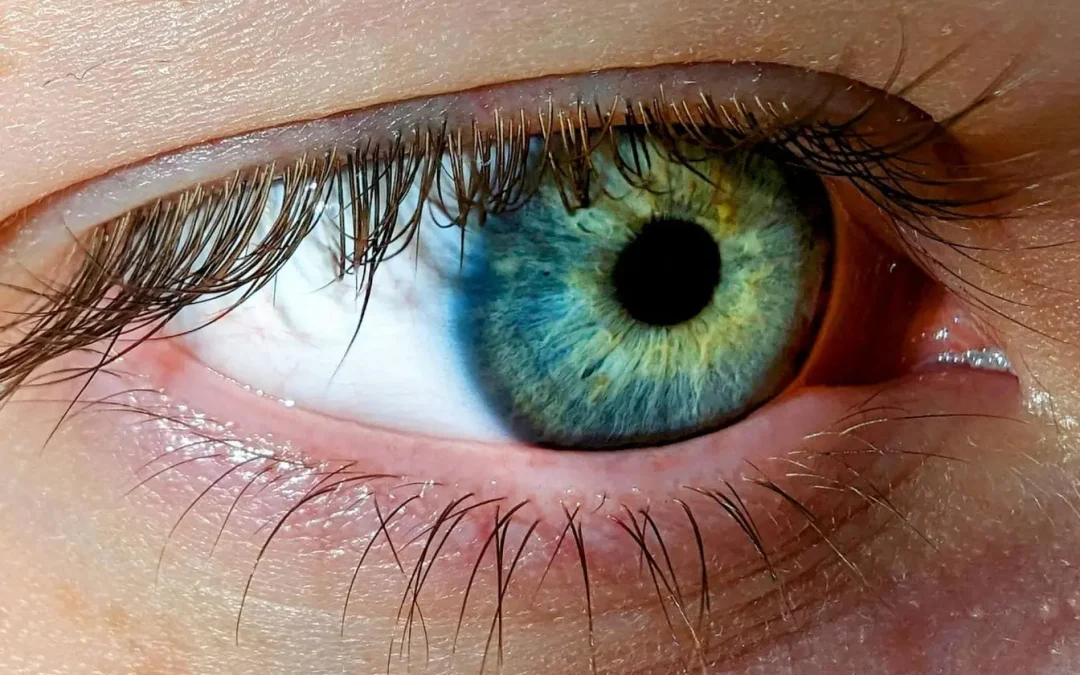 Comment améliorer sa vue naturellement ? Exercices, alimentation et bonnes pratiques