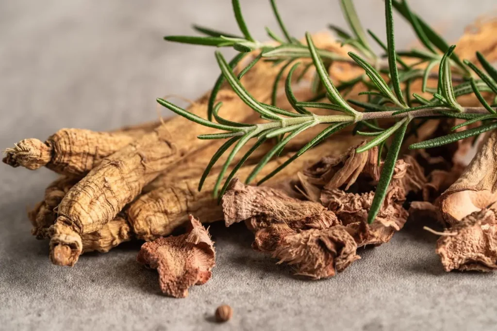 Racines de ginseng séchées posées sur surface grise avec tranches de gingembre et romarin, image qui illustre la force des plantes adaptogènes.
