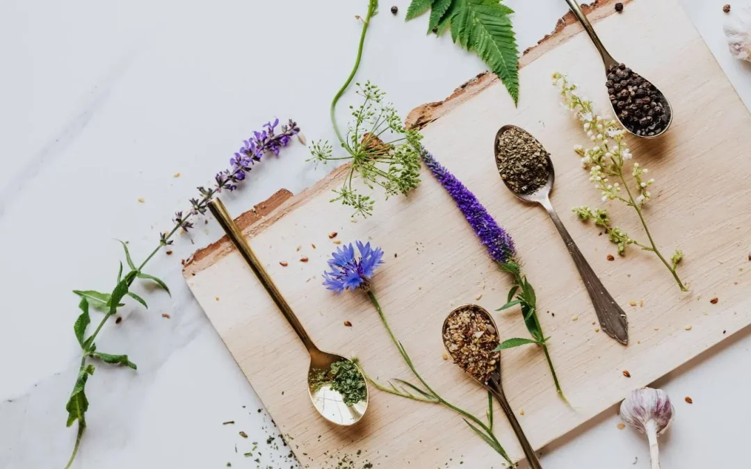 Plantes adaptogènes : liste complète et bienfaits pour gérer le stress