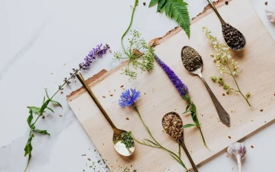 Plantes adaptogènes : liste complète et bienfaits pour gérer le stress