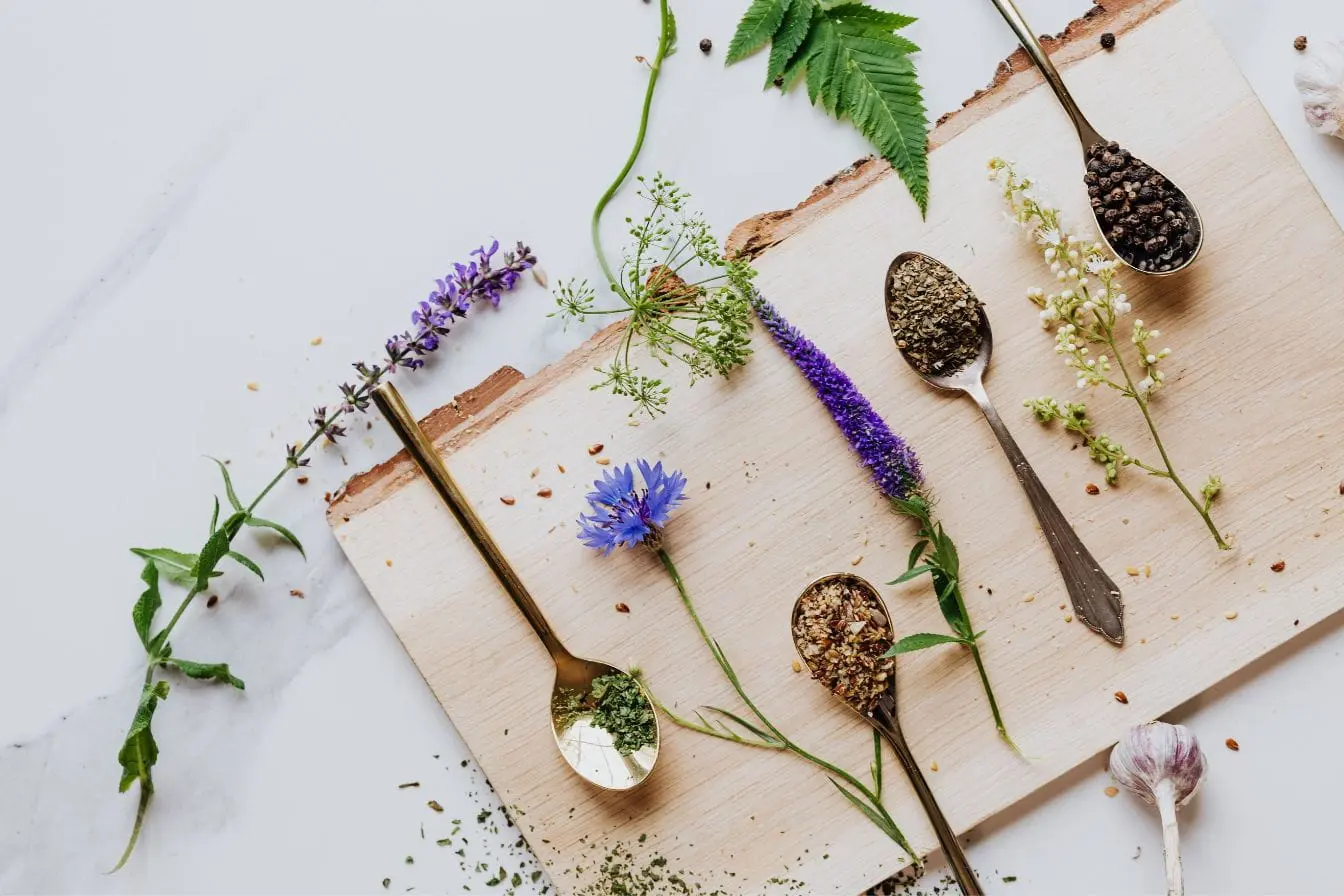 herbes séchées Ensemble d’herbes séchées et fleurs colorées disposées sur planche, image qui illustre la richesse des plantes adaptogènes pour équilibre et vitalité.