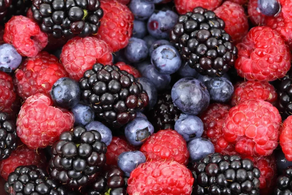 Gros plan sur mûres, framboises et myrtilles fraîches, image qui illustre une alimentation riche en antioxydants pour réduire le risque d’Alzheimer naturellement.