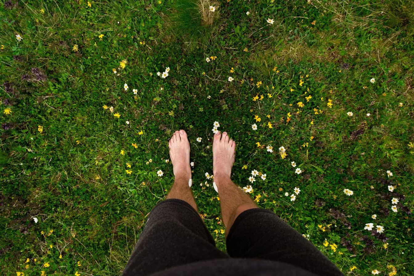 grounding Pieds nus sur herbe verte parsemée de fleurs, image qui illustre les bienfaits du grounding pour se reconnecter à la nature et apaiser le corps.