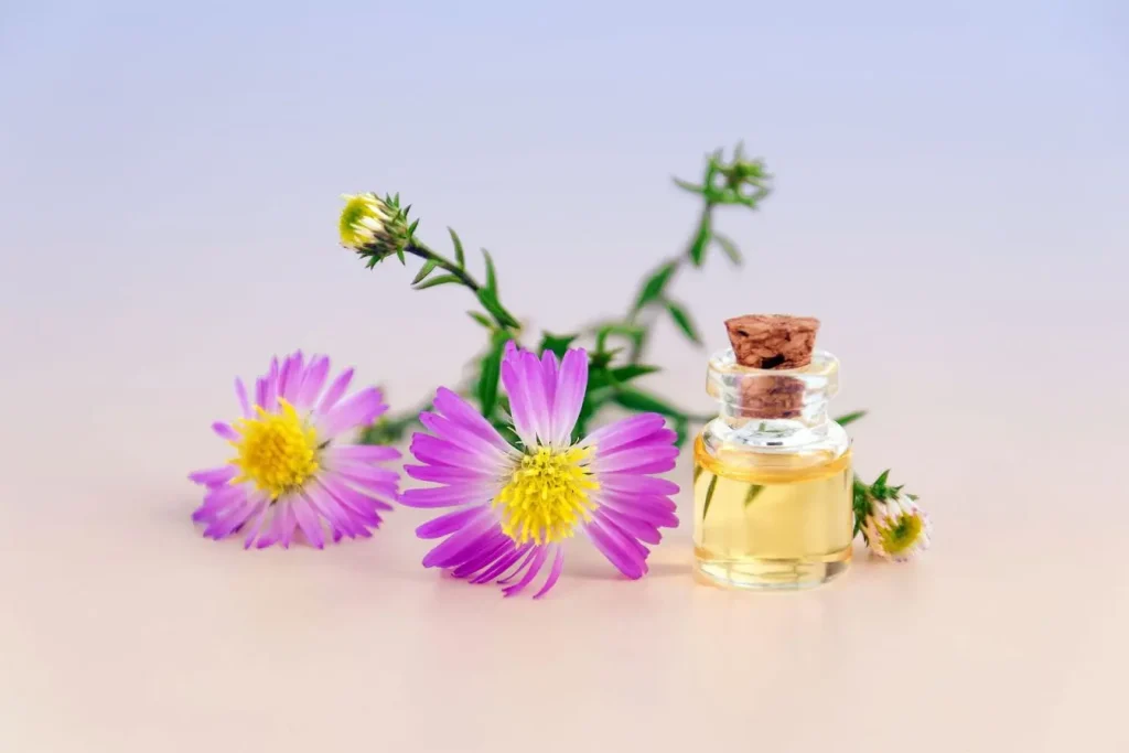 Petit flacon d’huile végétale posé près de fleurs violettes, reflet d’une approche naturelle pour apaiser la mycose vaginale.