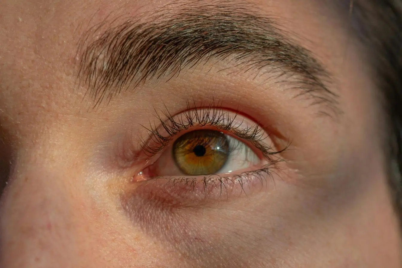 œil noisette Gros plan sur un œil noisette aux cils visibles, image qui illustre l’importance de détecter et soigner une conjonctivite.